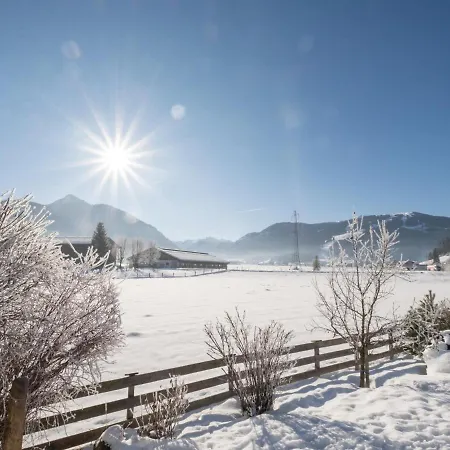 Siglavy Apartment Flachau